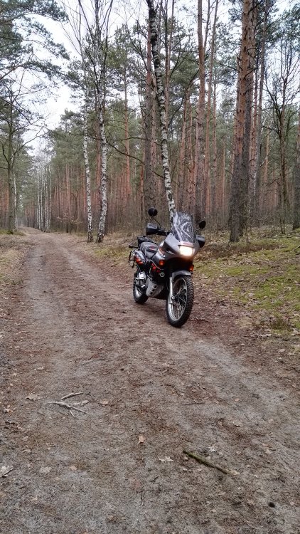 IMG_20170226_125954.jpg