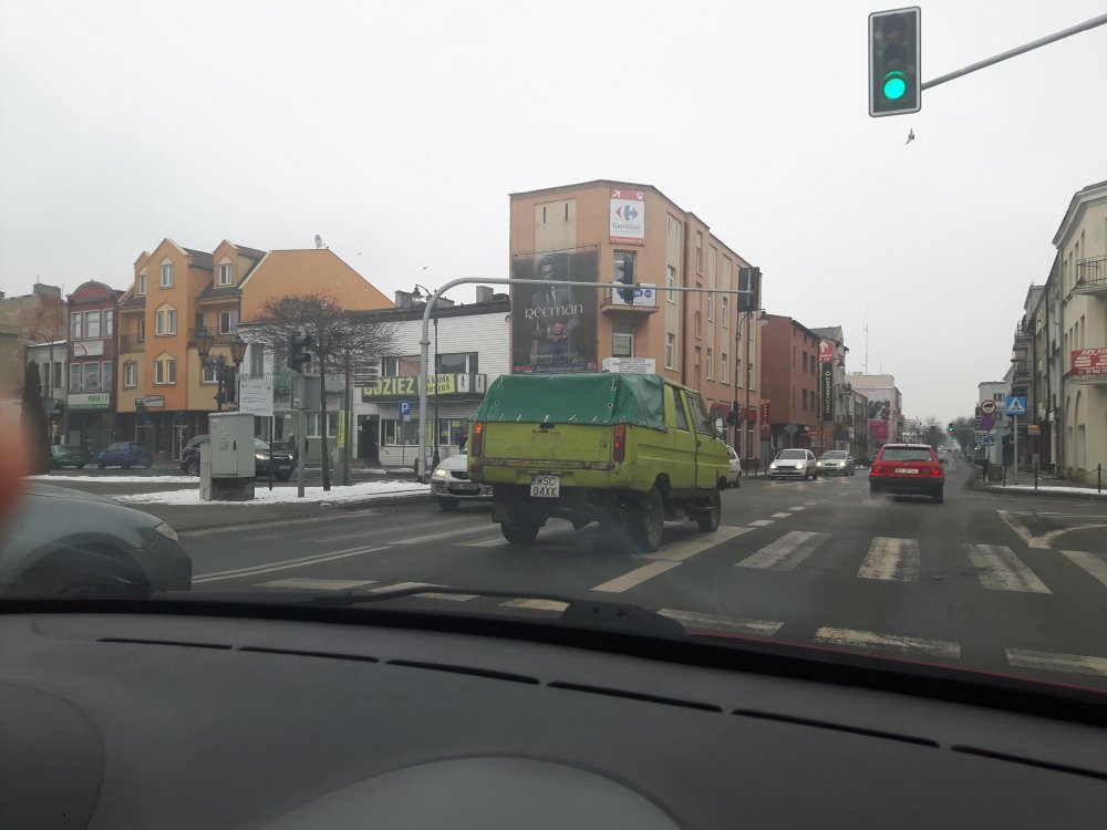 Tarpan.jpg