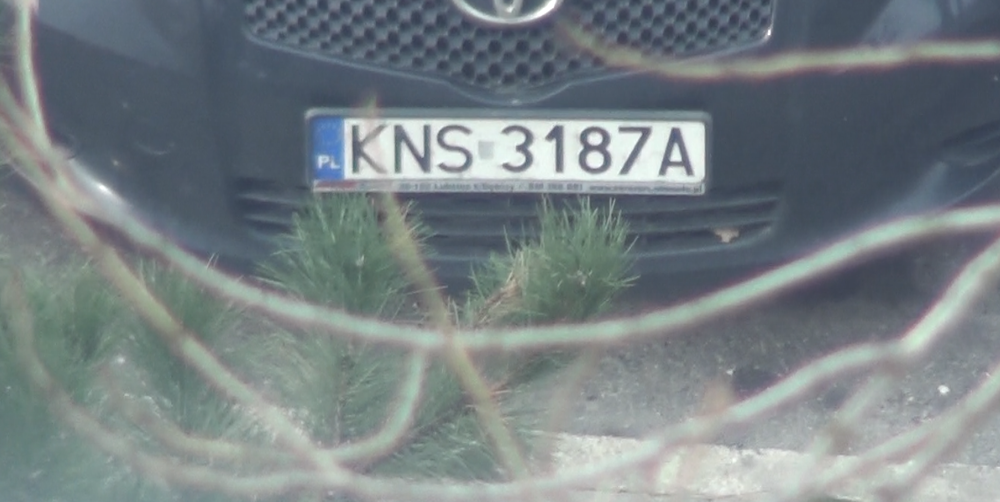 yaris.png