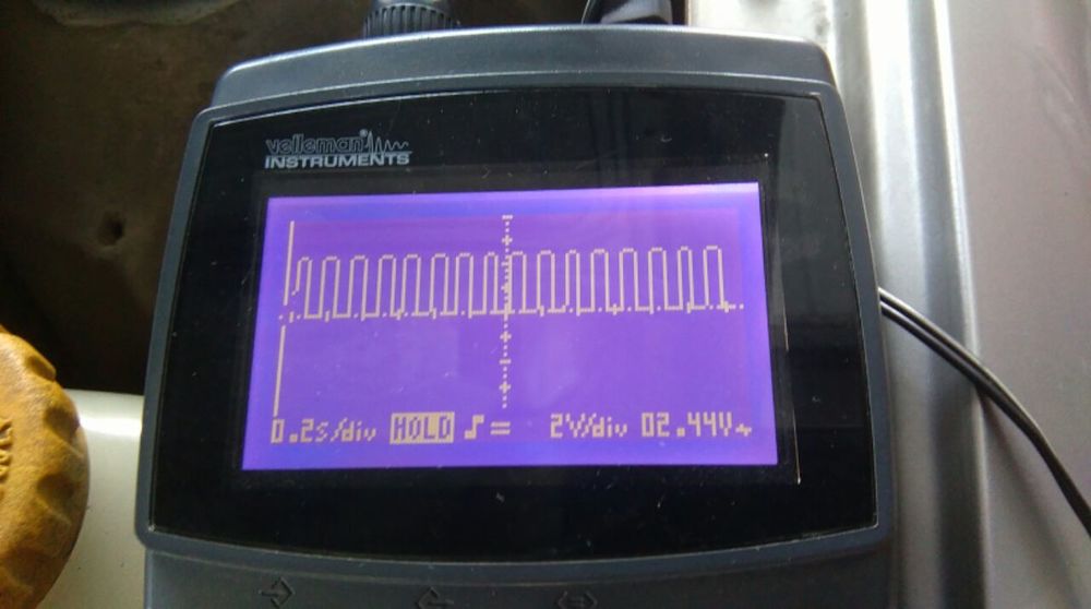 IMAG0417.jpg