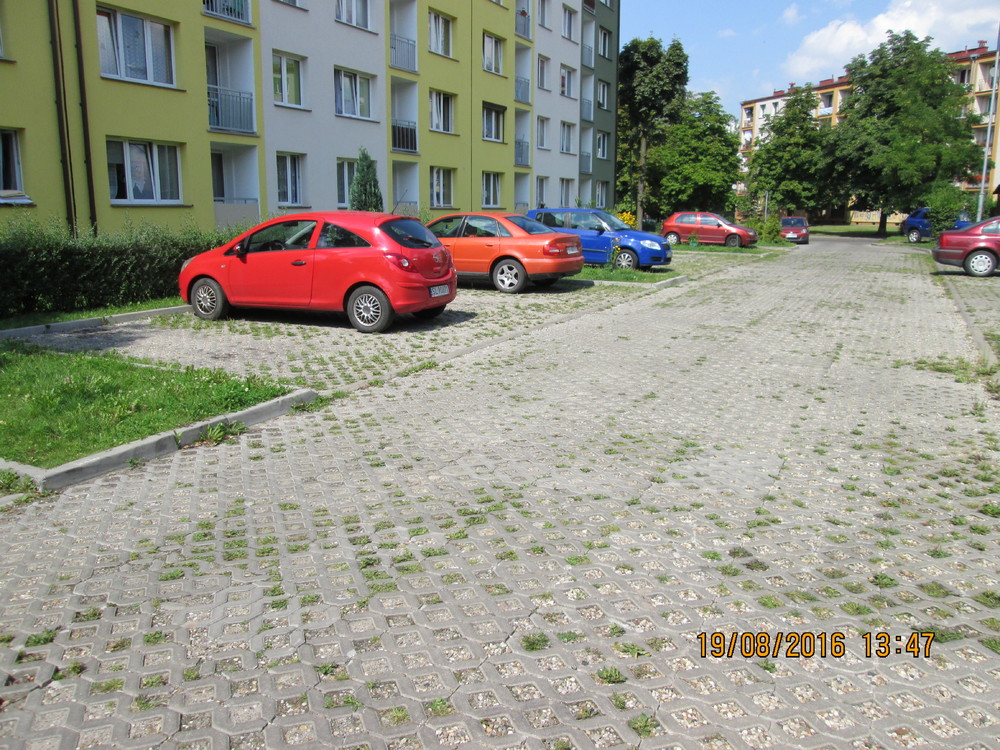 59a3bc77e0661_IMG_00291.JPG.5cbd8433954a12e6b46162aad050ec3c.JPG