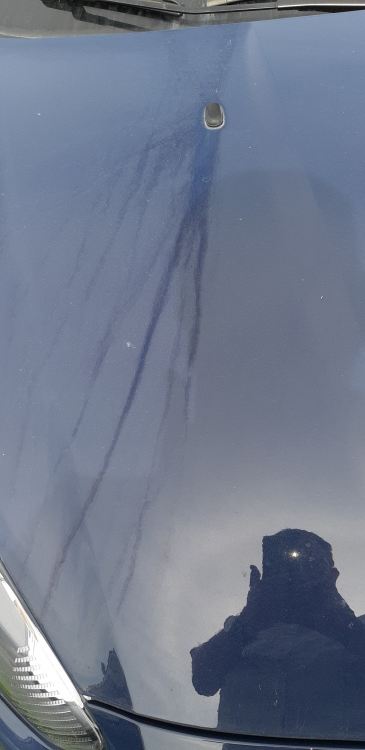 2a.jpg.d6ec01d069a49231aa4c571ea46d6a82.jpg