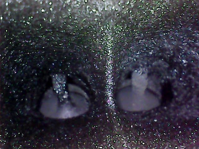 2021-02-12_12-26-08-72.jpg.9623a3f694872c44b21be228227df61a.jpg