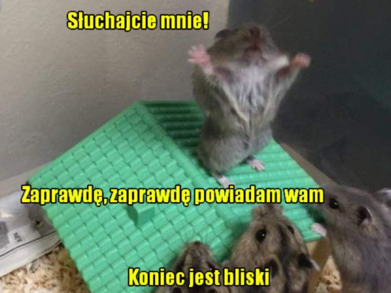 image.png.57d9ec40451dd93d48001234d4afaa38.png