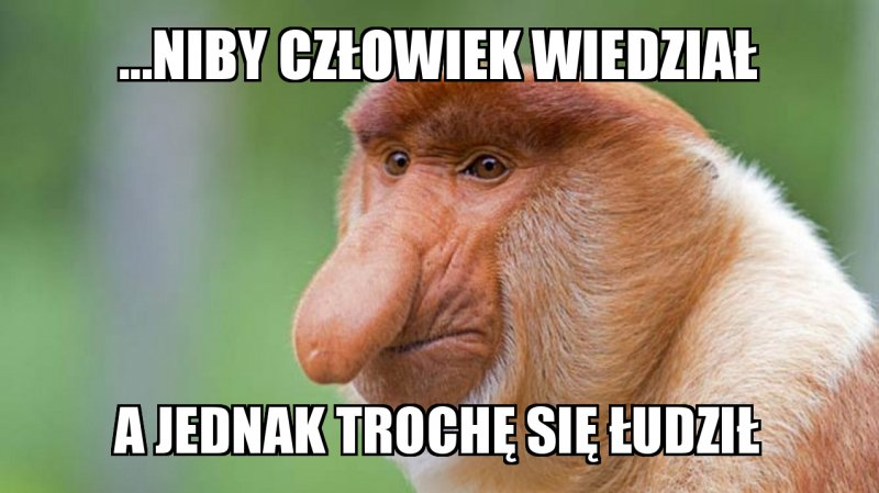 image.png.cdae75fbd1a314d507e1cdef7e69d26a.png