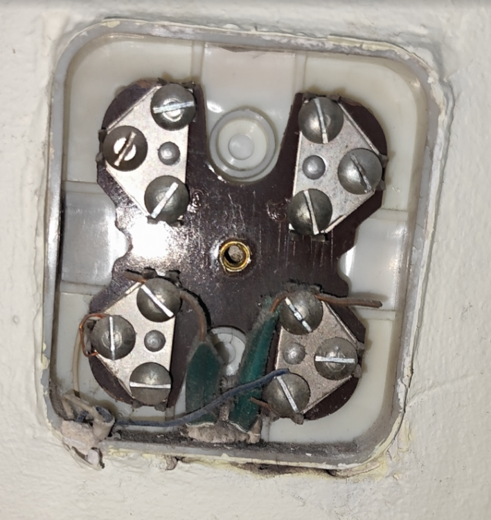 image.png.669f22599d69db3ff9c9a19033145bb7.png