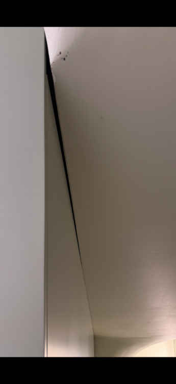 IMG_8821.png