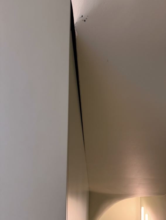 IMG_8828.jpeg