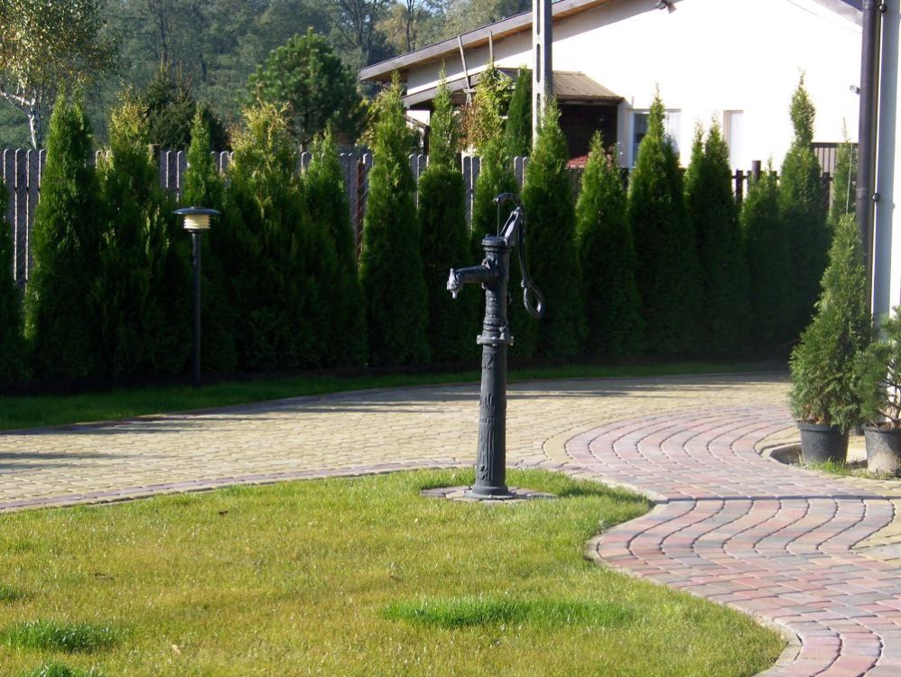 p1.JPG