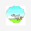 ansu